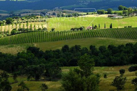 Farm i Scansano, Grosseto, Scansano - € 820.000 | Ref: AZ262 - foto 3