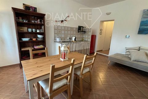Farm i Scansano, Grosseto, Scansano - € 820.000 | Ref: AZ262 - foto 4