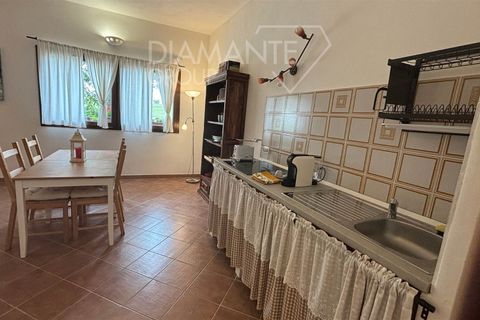 Farm i Scansano, Grosseto, Scansano - € 820.000 | Ref: AZ262 - foto 5