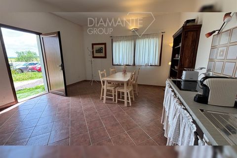 Farm i Scansano, Grosseto, Scansano - € 820.000 | Ref: AZ262 - foto 6