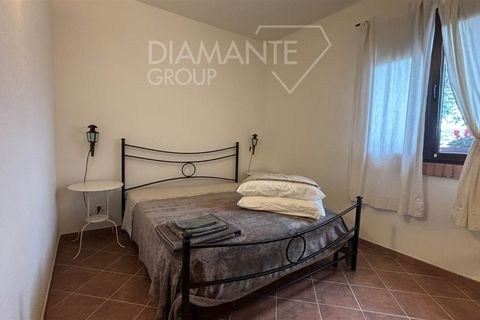 Farm i Scansano, Grosseto, Scansano - € 820.000 | Ref: AZ262 - foto 7