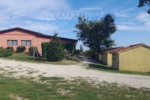 Farm i Scansano, Grosseto, Scansano - € 820.000 | Ref: AZ262 - foto 10