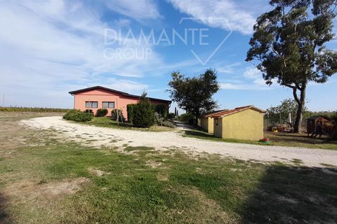 Farm i Scansano, Grosseto, Scansano - € 820.000 | Ref: AZ262 - foto 11