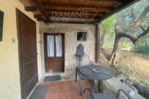 Farm i Roccastrada, Grosseto, Roccastrada - € 650.000 | Ref: AZ255 - foto 3