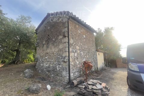 Farm i Roccastrada, Grosseto, Roccastrada - € 650.000 | Ref: AZ255 - foto 4