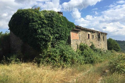 Farm i Gubbio, Perugia, Gubbio - € 330.000 | Ref: AZ250 - foto 6