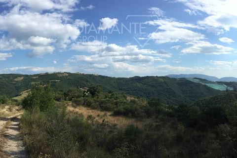 Farm i Gubbio, Perugia, Gubbio - € 330.000 | Ref: AZ250 - foto 11
