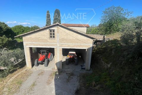 Farm i Chiusi, Siena, Chiusi - € 400.000 | Ref: AZ235 - foto 6