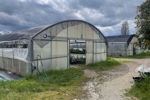 Farm i Gubbio, Perugia, Gubbio - € 95.000 | Ref: AZ234 - foto 6