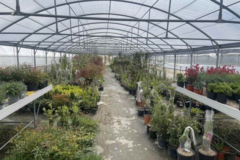 Farm i Gubbio, Perugia, Gubbio - € 95.000 | Ref: AZ234 - foto 7