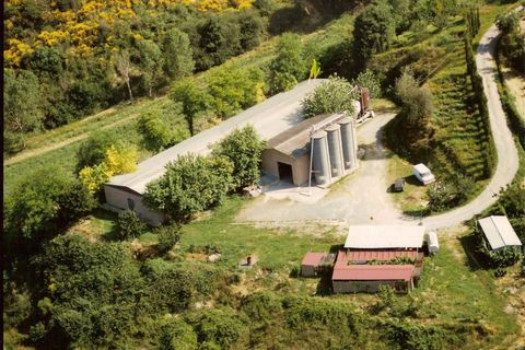 Farm i Chiusi, Siena, Chiusi - € 330.000 | Ref: AZ230 - foto 1