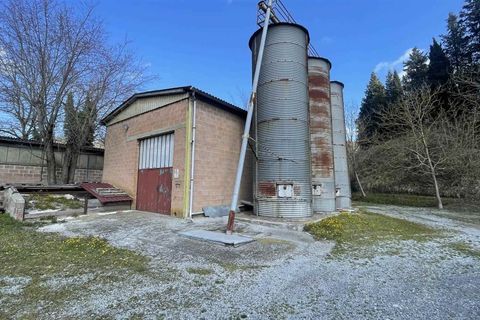 Farm i Chiusi, Siena, Chiusi - € 330.000 | Ref: AZ230 - foto 3