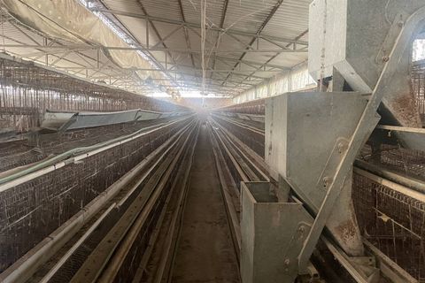 Farm i Chiusi, Siena, Chiusi - € 330.000 | Ref: AZ230 - foto 8
