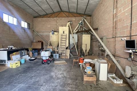 Farm i Chiusi, Siena, Chiusi - € 330.000 | Ref: AZ230 - foto 9