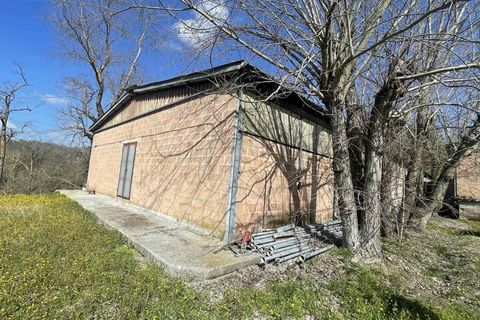 Farm i Chiusi, Siena, Chiusi - € 330.000 | Ref: AZ230 - foto 10