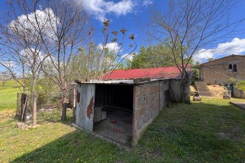 Farm i Arcidosso, Grosseto, Arcidosso - € 470.000 | Ref: AZ224 - foto 2