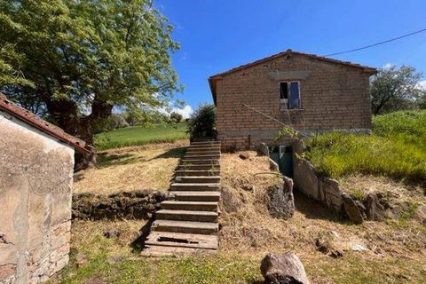 Farm i Arcidosso, Grosseto, Arcidosso - € 470.000 | Ref: AZ224 - foto 3