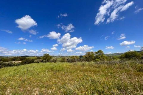 Farm i Arcidosso, Grosseto, Arcidosso - € 470.000 | Ref: AZ224 - foto 4