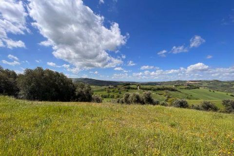 Farm i Arcidosso, Grosseto, Arcidosso - € 470.000 | Ref: AZ224 - foto 6