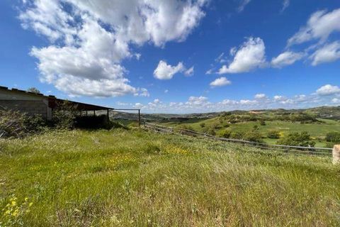 Farm i Arcidosso, Grosseto, Arcidosso - € 470.000 | Ref: AZ224 - foto 8