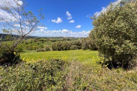 Farm i Arcidosso, Grosseto, Arcidosso - € 470.000 | Ref: AZ224 - foto 9