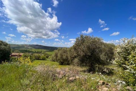 Farm i Arcidosso, Grosseto, Arcidosso - € 470.000 | Ref: AZ224 - foto 10