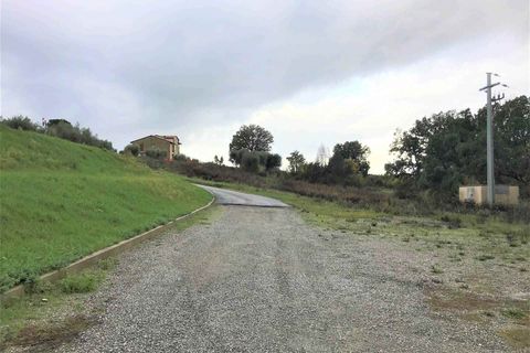 Terra a Paciano, Perugia, Paciano - € 50.000 | Ref: PA1749 - foto 2