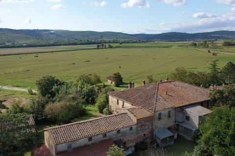 Farm i Sinalunga, Siena, Sinalunga - € 550.000 | Ref: AZ197 - foto 4
