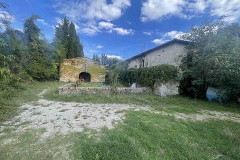 Farm i Siena, Siena, Siena - € 1.500.000 | Ref: AZ215 - foto 1