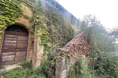 Farm i Siena, Siena, Siena - € 1.500.000 | Ref: AZ215 - foto 3