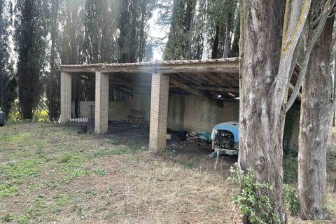 Farm i Siena, Siena, Siena - € 1.500.000 | Ref: AZ215 - foto 7