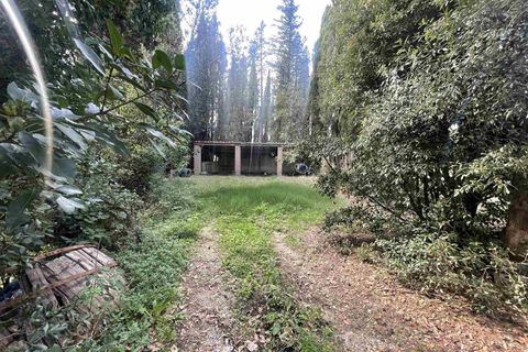 Farm i Siena, Siena, Siena - € 1.500.000 | Ref: AZ215 - foto 8