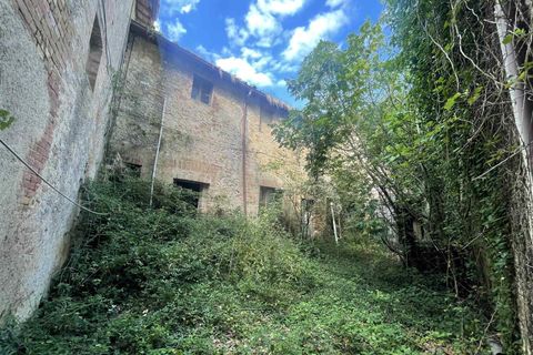 Farm i Siena, Siena, Siena - € 1.500.000 | Ref: AZ215 - foto 10
