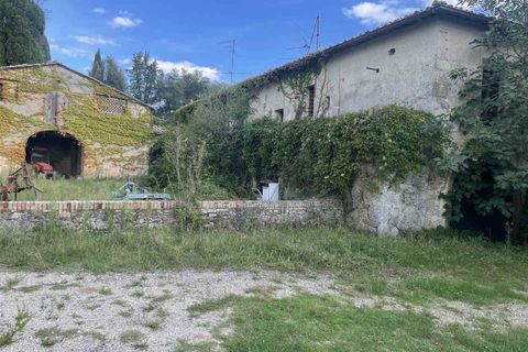 Farm i Siena, Siena, Siena - € 1.500.000 | Ref: AZ215 - foto 11