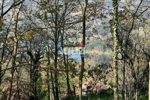 Helårsgrund i Amarante, Porto, Amarante - € 89.000 | Ref: SÒL_254 - foto 12