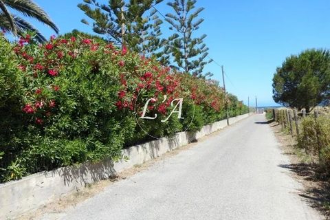 Villa a Saint-Florent, Haute-Corse, Saint-Florent - € 1.160.000 | Ref: STFLM000915KP - foto 19