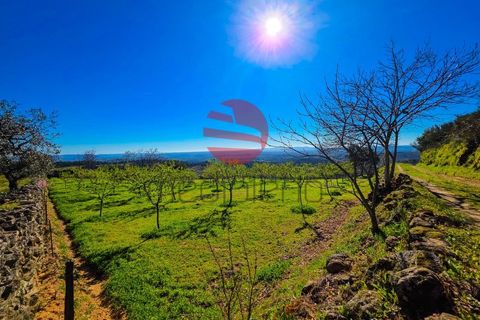 Helårsgrund i Meda, Guarda, Meda - € 45.000 | Ref: 493/MDA - foto 2
