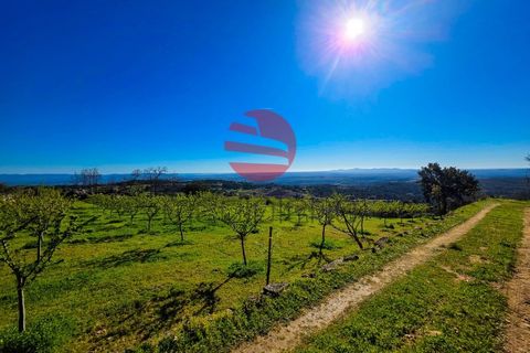 Helårsgrund i Meda, Guarda, Meda - € 45.000 | Ref: 493/MDA - foto 3