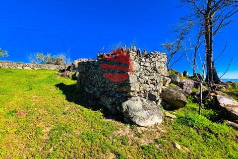 Helårsgrund i Meda, Guarda, Meda - € 45.000 | Ref: 493/MDA - foto 8