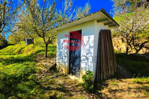 Helårsgrund i Meda, Guarda, Meda - € 45.000 | Ref: 493/MDA - foto 10