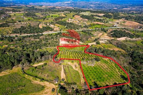 Helårsgrund i Meda, Guarda, Meda - € 45.000 | Ref: 493/MDA - foto 14