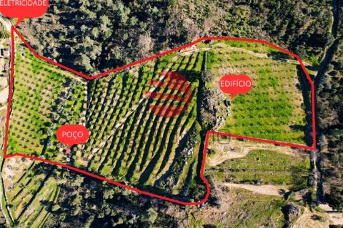 Helårsgrund i Meda, Guarda, Meda - € 45.000 | Ref: 493/MDA - foto 15