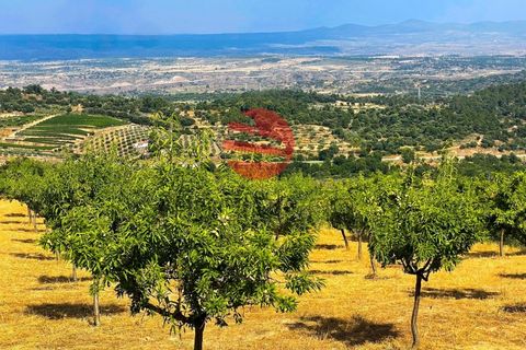 Helårsgrund i Meda, Guarda, Meda - € 45.000 | Ref: 493/MDA - foto 4