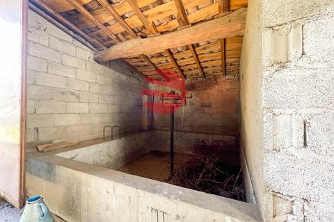 Villa a Meda, Guarda, Meda - € 50.000 | Ref: 496/MDA - foto 14