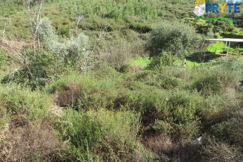 Villa a Troviscal, Castelo Branco, Troviscal - € 35.000 | Ref: AA315 - foto 16