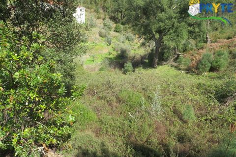 Villa a Troviscal, Castelo Branco, Troviscal - € 35.000 | Ref: AA315 - foto 19