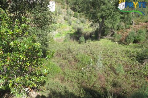 Villa a Troviscal, Castelo Branco, Troviscal - € 35.000 | Ref: AA315 - foto 20