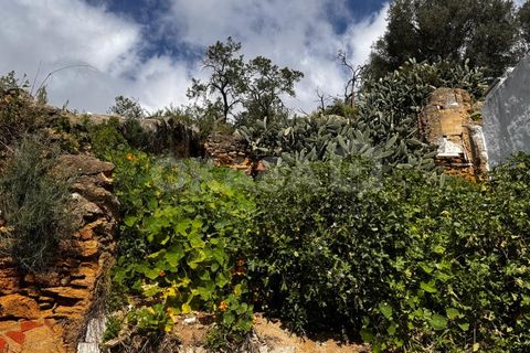Helårsgrund i Setubal, Setubal, Setubal - € 80.000 | Ref: LOT_13037 - foto 4