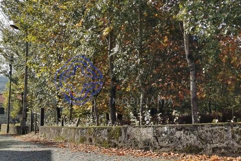 Farm i Penafiel, Porto, Penafiel - € 300.000 | Ref: 1101781 - foto 1