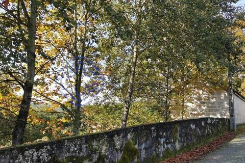Farm i Penafiel, Porto, Penafiel - € 300.000 | Ref: 1101781 - foto 2